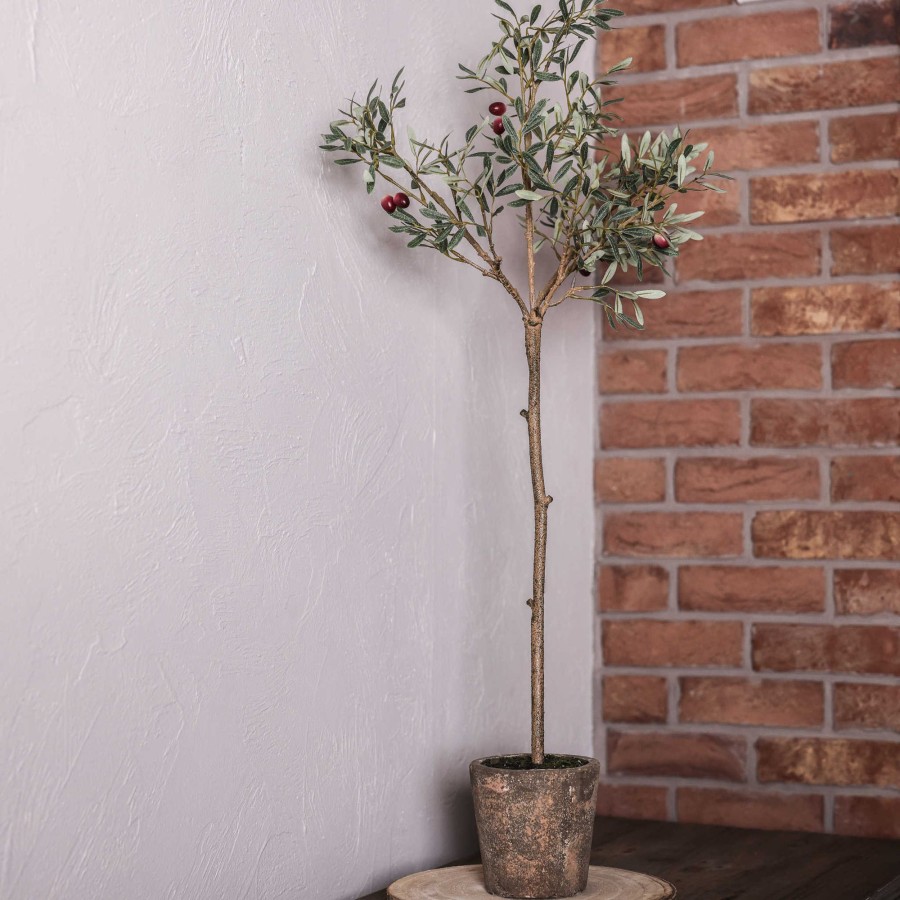 Home Accessories Silver Mushroom View All Home Accessories | Natural Look Olive Tree In Clay Pot